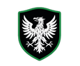 DFW Super Eagles